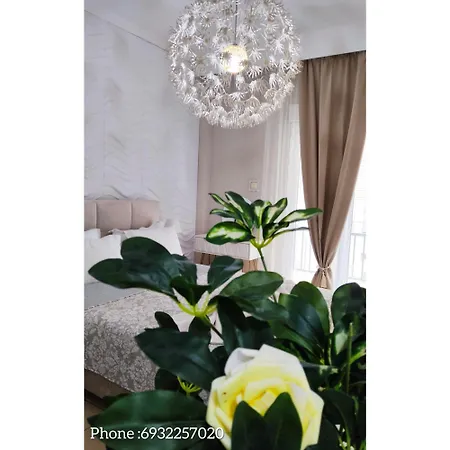 Boutique Lux *
